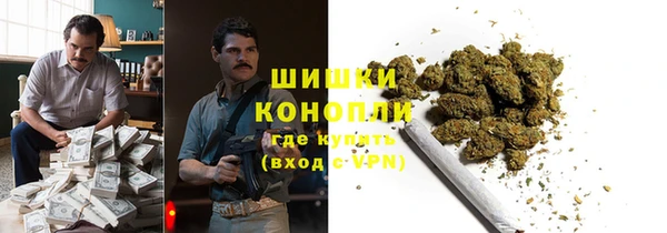 сатива Нязепетровск