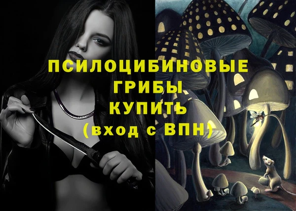 mix Няндома