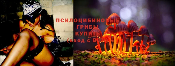 mix Няндома