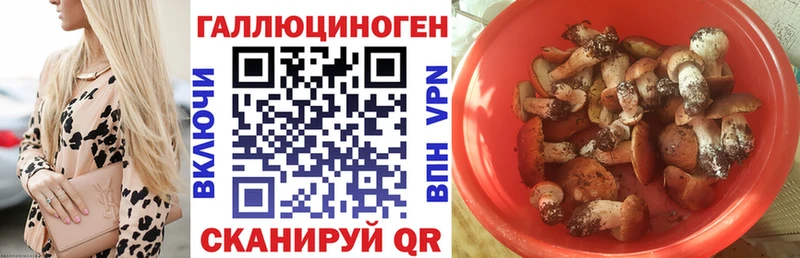 Псилоцибиновые грибы MAGIC MUSHROOMS  blacksprut ССЫЛКА  Заинск 