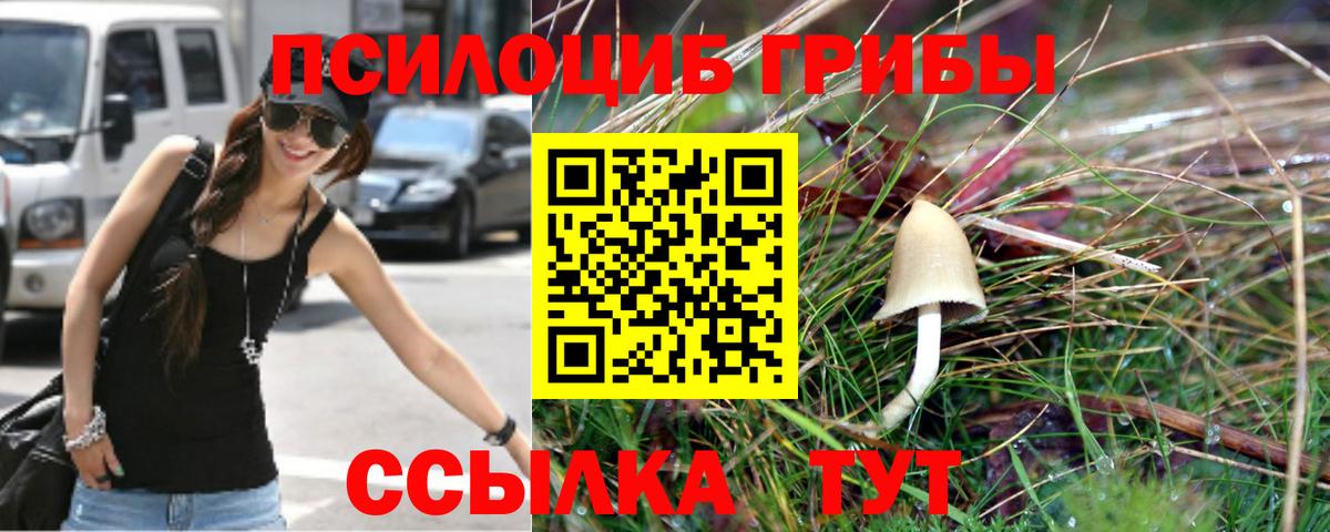 Псилоцибиновые грибы MAGIC MUSHROOMS Заинск