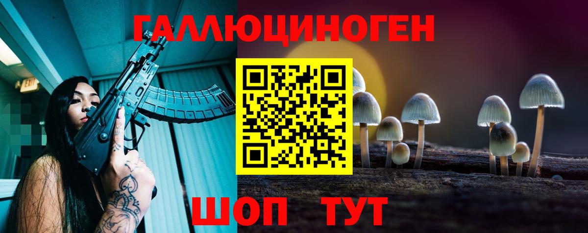 Псилоцибиновые грибы MAGIC MUSHROOMS  Вход с VPN  Заинск  Галлюциногенные грибы прущие грибы 