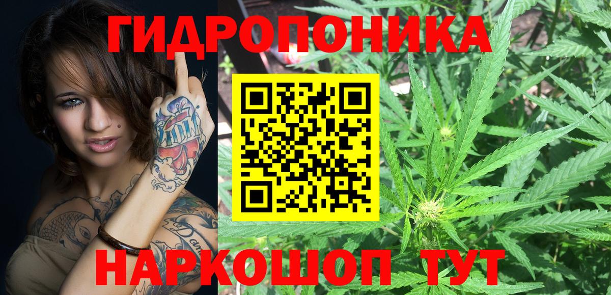 Каннабис OG Kush  Вход с VPN  Заинск  Шишки марихуана сатива  Бошки марихуана Ganja 